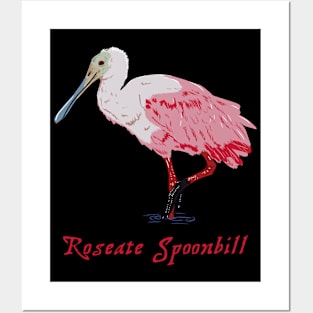 Roseate Spoonbill Florida Birding Posters and Art